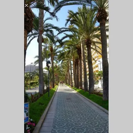 Palmeras Playa Puerto De La Cruz Zona Martinez 아파트