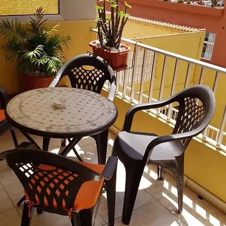 Palmeras Playa Puerto De La Cruz Zona Martinez * 푸에르토 드 라 크루즈