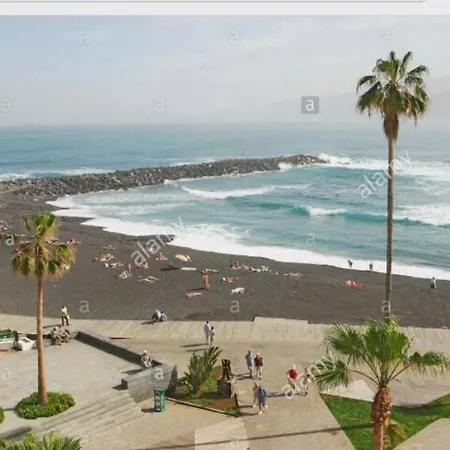 Palmeras Playa Puerto De La Cruz Zona Martinez *
