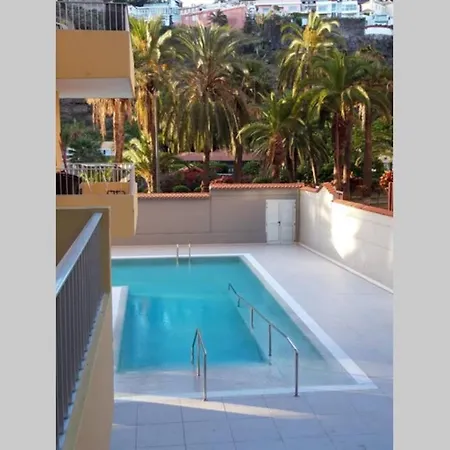 Palmeras Playa Puerto De La Cruz Zona Martinez * 푸에르토 드 라 크루즈