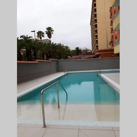 Palmeras Playa Puerto De La Cruz Zona Martinez 푸에르토 드 라 크루즈